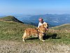 IMG_4636.jpg