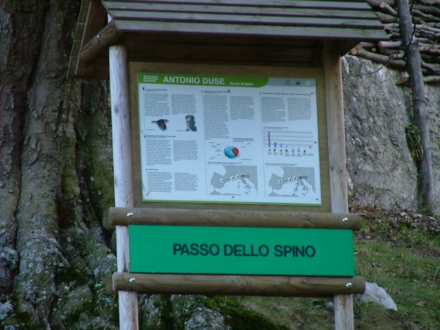 Monte Pizzoccolo 002.jpg