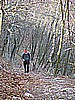 Monte Pizzoccolo 006.jpg